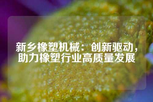 新乡橡塑机械：创新驱动，助力橡塑行业高质量发展