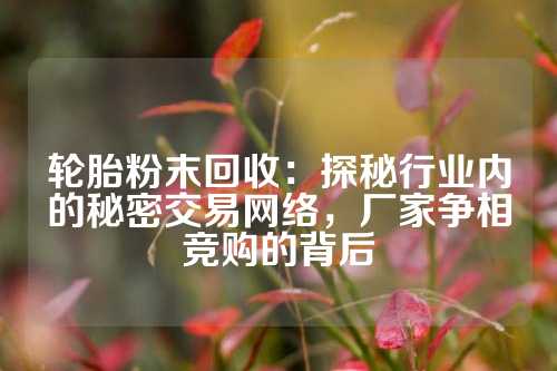 轮胎粉末回收：探秘行业内的秘密交易网络，厂家争相竞购的背后