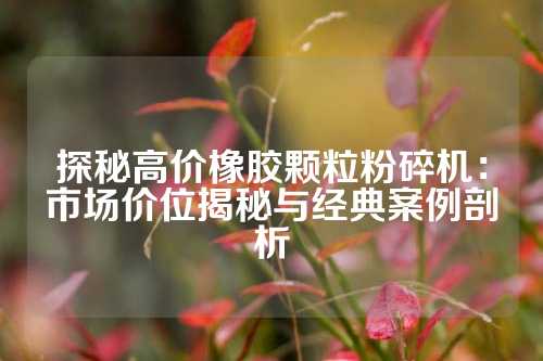 探秘高价橡胶颗粒粉碎机：市场价位揭秘与经典案例剖析