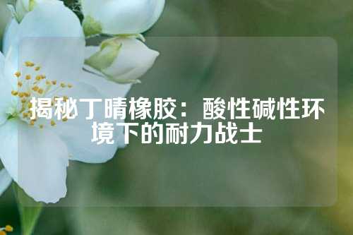 揭秘丁晴橡胶：酸性碱性环境下的耐力战士