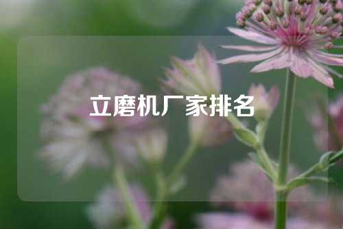 立磨机厂家排名