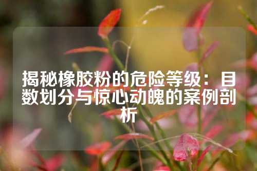 揭秘橡胶粉的危险等级：目数划分与惊心动魄的案例剖析