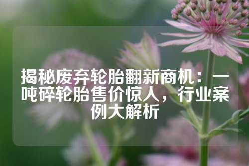 揭秘废弃轮胎翻新商机：一吨碎轮胎售价惊人，行业案例大解析