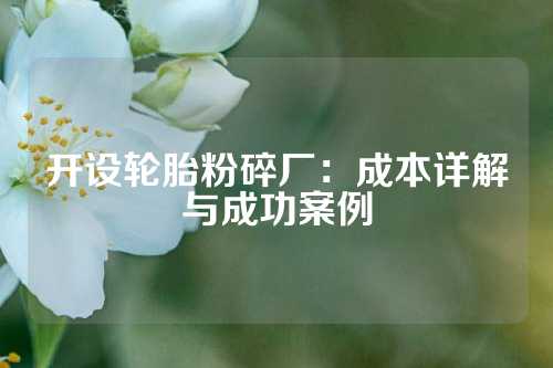 开设轮胎粉碎厂：成本详解与成功案例