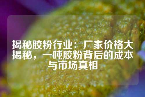 揭秘胶粉行业：厂家价格大揭秘，一吨胶粉背后的成本与市场真相