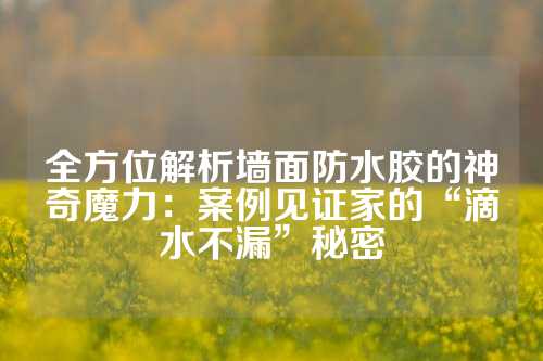 全方位解析墙面防水胶的神奇魔力：案例见证家的“滴水不漏”秘密