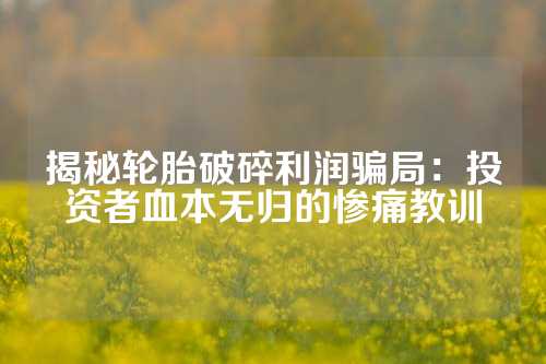 揭秘轮胎破碎利润骗局：投资者血本无归的惨痛教训