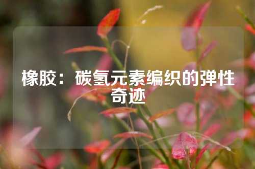 橡胶：碳氢元素编织的弹性奇迹