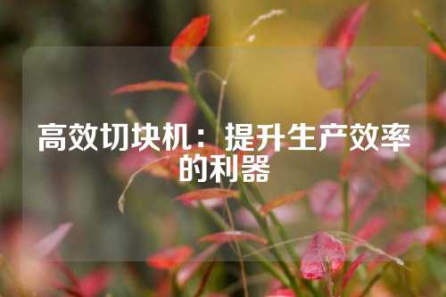 高效切块机：提升生产效率的利器