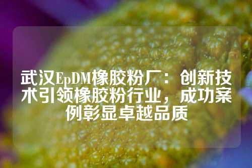 武汉EpDM橡胶粉厂：创新技术引领橡胶粉行业，成功案例彰显卓越品质