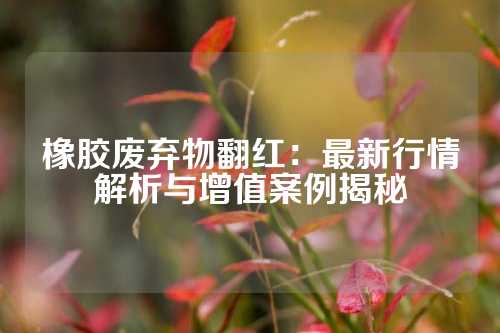橡胶废弃物翻红：最新行情解析与增值案例揭秘
