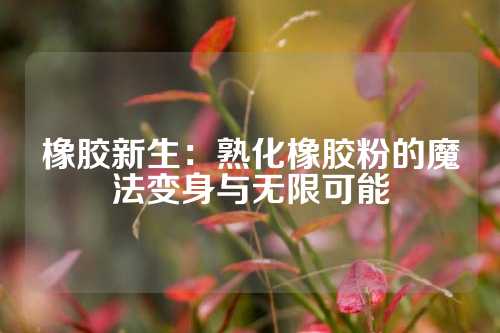 橡胶新生：熟化橡胶粉的魔法变身与无限可能