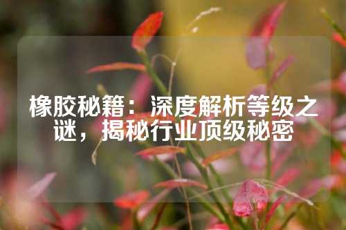橡胶秘籍：深度解析等级之谜，揭秘行业顶级秘密