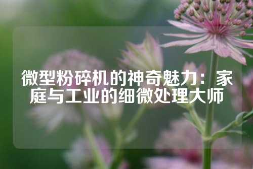 微型粉碎机的神奇魅力：家庭与工业的细微处理大师