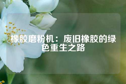 橡胶磨粉机：废旧橡胶的绿色重生之路