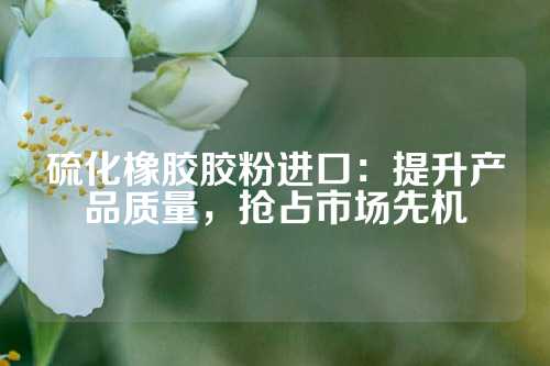 硫化橡胶胶粉进口：提升产品质量，抢占市场先机