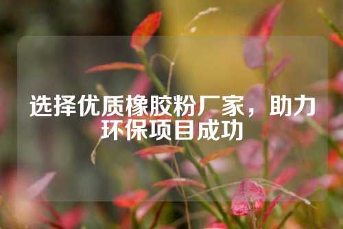 选择优质橡胶粉厂家，助力环保项目成功