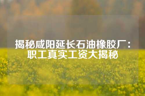 揭秘咸阳延长石油橡胶厂：职工真实工资大揭秘