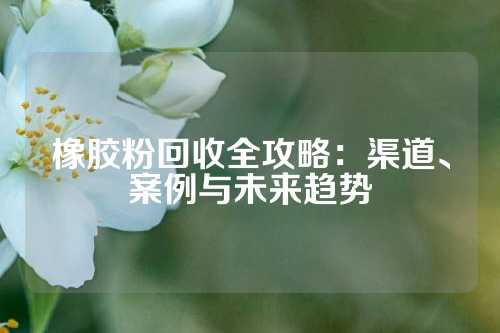 橡胶粉回收全攻略：渠道、案例与未来趋势