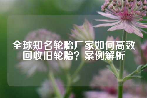 全球知名轮胎厂家如何高效回收旧轮胎？案例解析