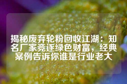 揭秘废弃轮粉回收江湖:知名厂家竞逐绿色财富,经典案例告诉你谁是行业老大