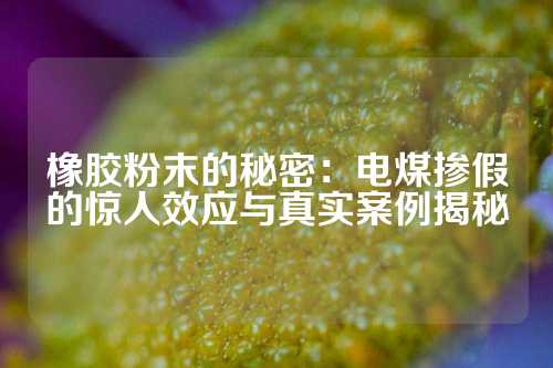 橡胶粉末的秘密：电煤掺假的惊人效应与真实案例揭秘