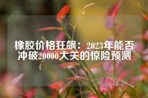 橡胶价格狂飙：2023年能否冲破20000大关的惊险预测