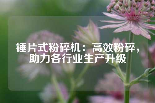 锤片式粉碎机：高效粉碎，助力各行业生产升级