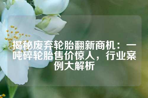 揭秘废弃轮胎翻新商机：一吨碎轮胎售价惊人，行业案例大解析