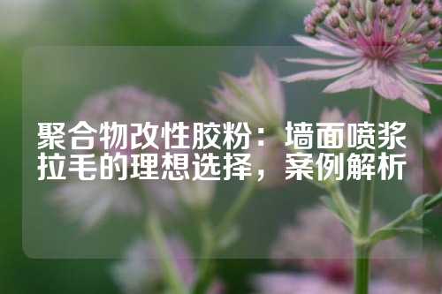 聚合物改性胶粉：墙面喷浆拉毛的理想选择，案例解析