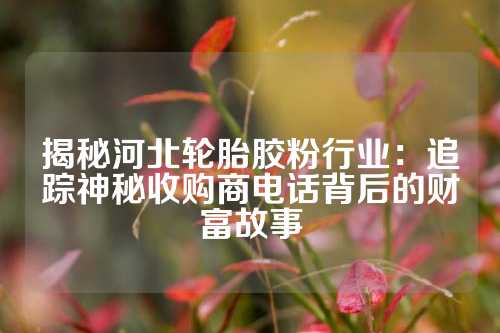 揭秘河北轮胎胶粉行业：追踪神秘收购商电话背后的财富故事