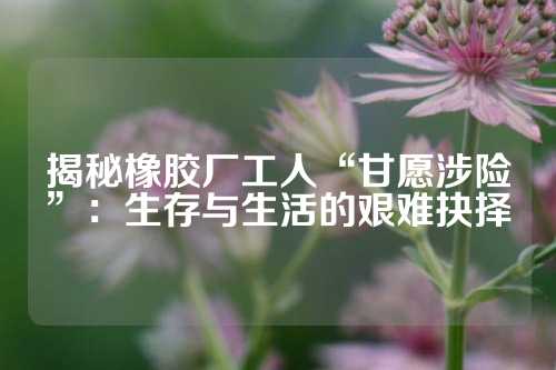 揭秘橡胶厂工人“甘愿涉险”：生存与生活的艰难抉择