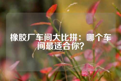 橡胶厂车间大比拼：哪个车间最适合你？