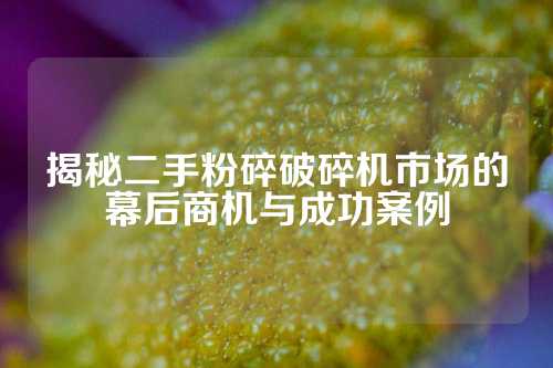 揭秘二手粉碎破碎机市场的幕后商机与成功案例