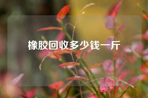 橡胶回收多少钱一斤