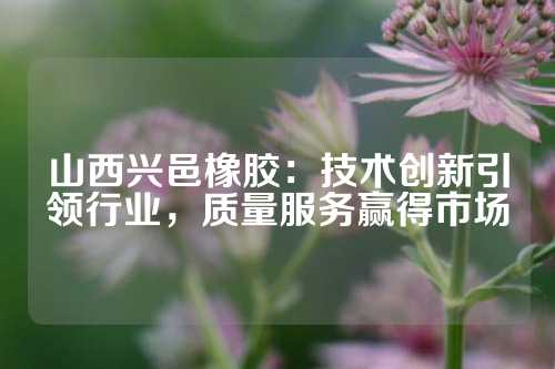 山西兴邑橡胶：技术创新引领行业，质量服务赢得市场