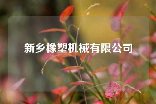 新乡橡塑机械有限公司
