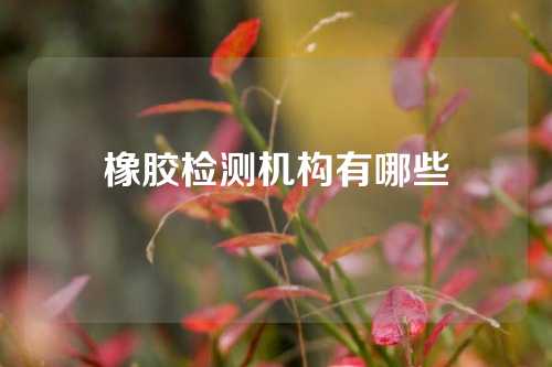 橡胶检测机构有哪些