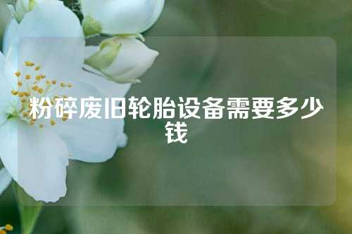 粉碎废旧轮胎设备需要多少钱