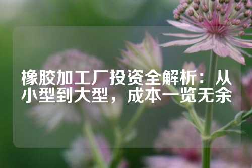 橡胶加工厂投资全解析：从小型到大型，成本一览无余