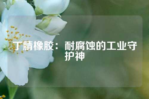 丁腈橡胶：耐腐蚀的工业守护神