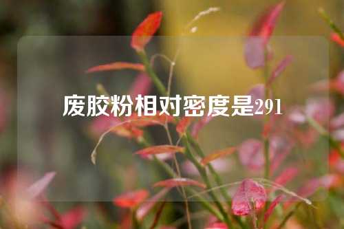 废胶粉相对密度是291