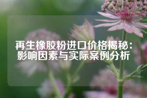 再生橡胶粉进口价格揭秘：影响因素与实际案例分析