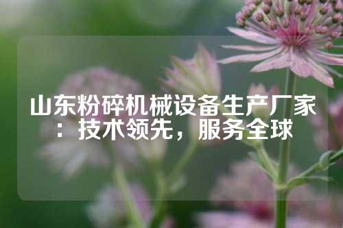 山东粉碎机械设备生产厂家：技术领先，服务全球