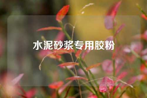 水泥砂浆专用胶粉