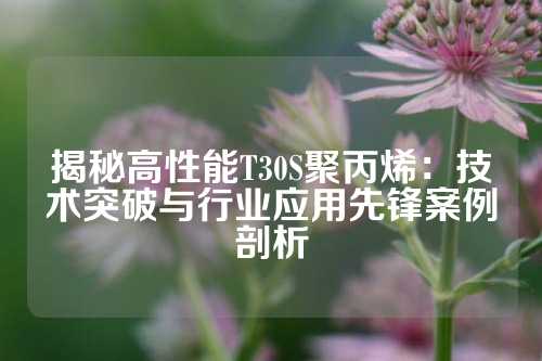 揭秘高性能T30S聚丙烯：技术突破与行业应用先锋案例剖析