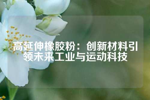 高延伸橡胶粉：创新材料引领未来工业与运动科技