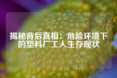 揭秘背后真相：危险环境下的塑料厂工人生存现状