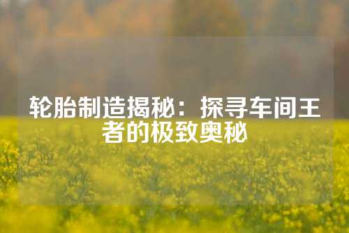 轮胎制造揭秘：探寻车间王者的极致奥秘