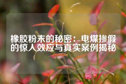 橡胶粉末的秘密：电煤掺假的惊人效应与真实案例揭秘
